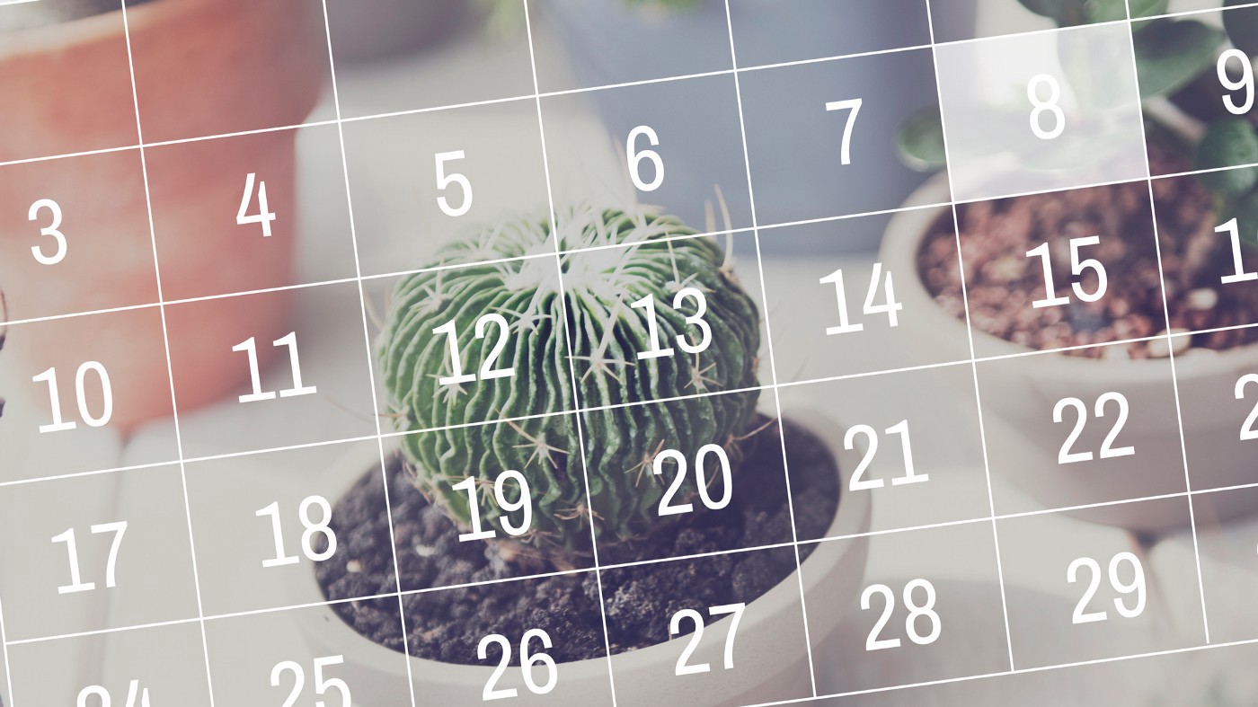Mark Your Calendars: Best Salesforce Events Dec 6, 2021 — Dec 10, 2021