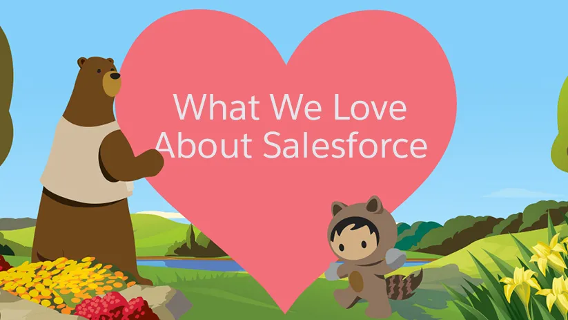 What We Love about Salesforce