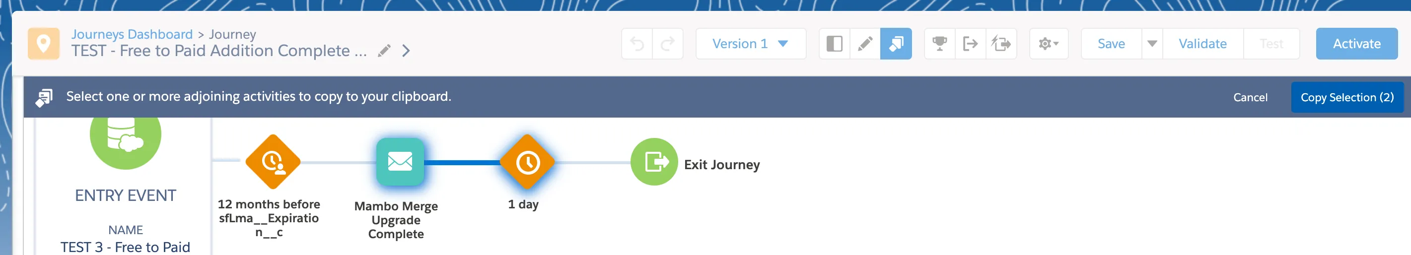 The Interface to Select Activities Within a Journey Track to Copy. To Finalize, Select the “Copy Selection” Button on the Upper Right-Hand Side of the Screen.