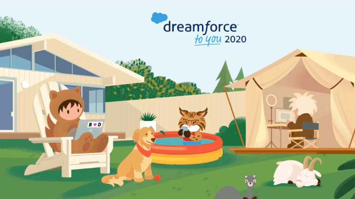 Dreamforce 2020 Update